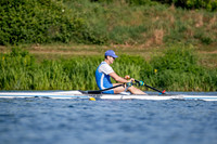 NCM08486