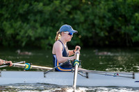 8WL_5294