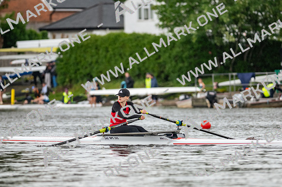 WLB_2019