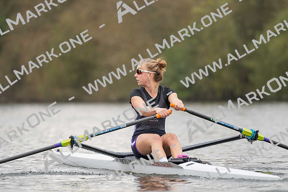 HCD03940