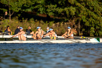HCS01194