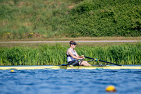 NCM08378
