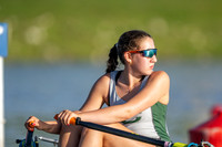 NYC08529