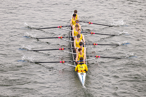 HORR8291