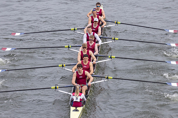HORR0262