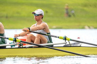 YNZ03320