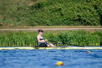 NCM08377