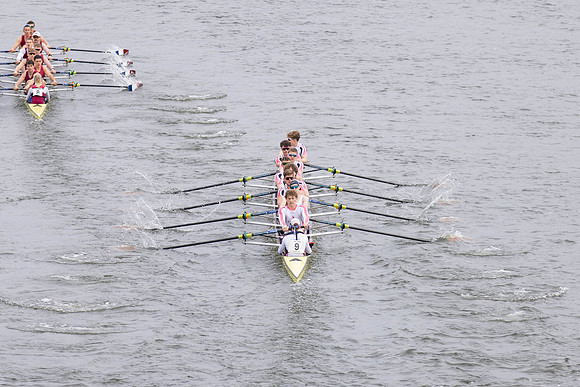 HORR0294