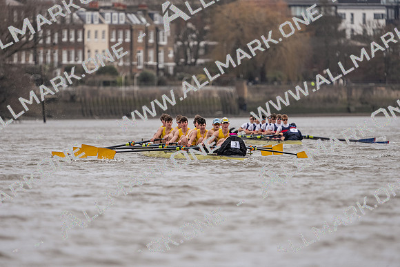 HAM03736