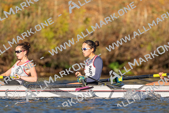 HCS03035