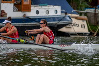 Race 117 (239 vs 240)