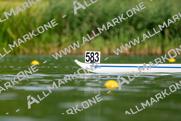 CCD04445