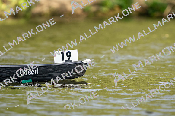 CCF01554