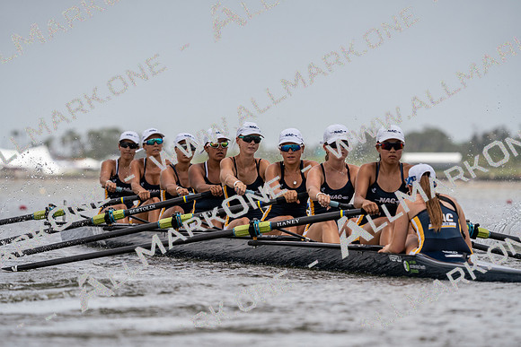 YNZ02016