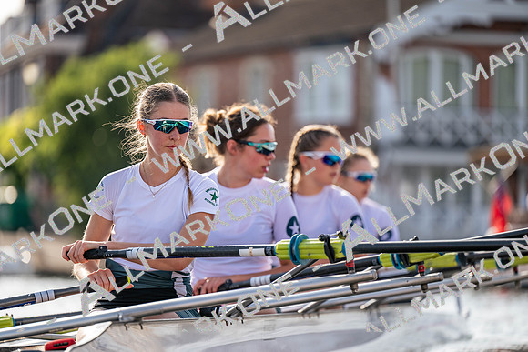 8WL_3586