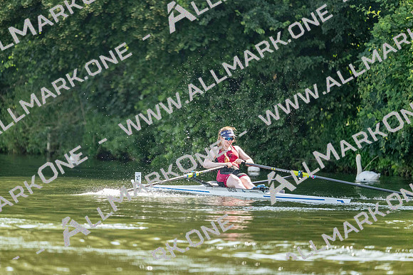 8WL_2645