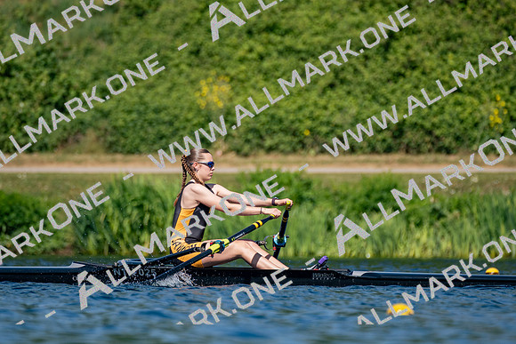 NCM09319