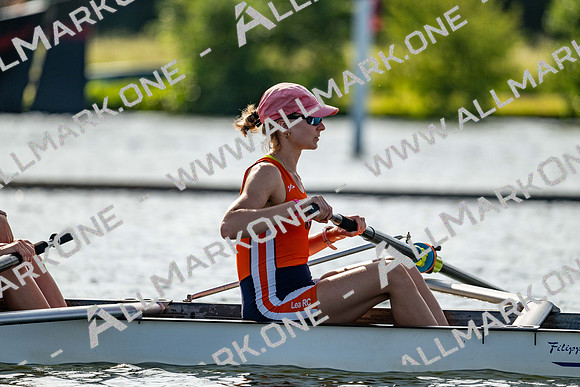 8WL_3633