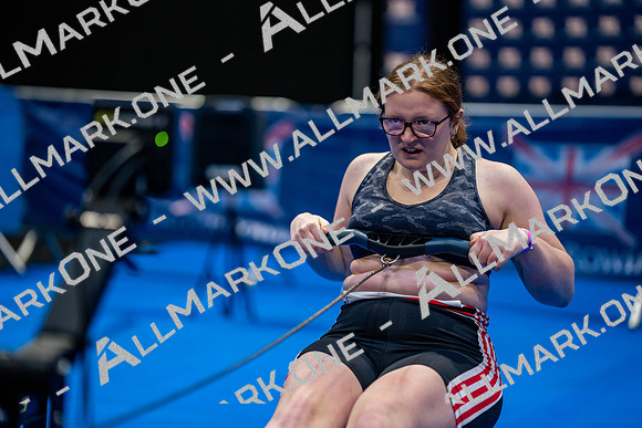 BRC09233