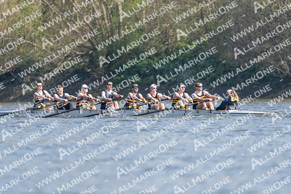 HOR02199