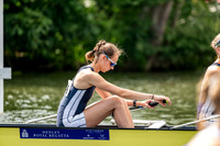 8WL_1637