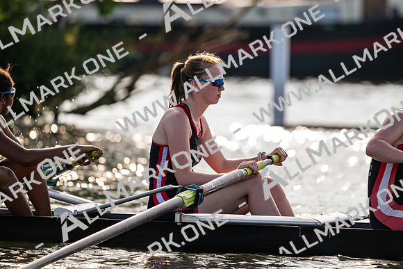 8WL_4441