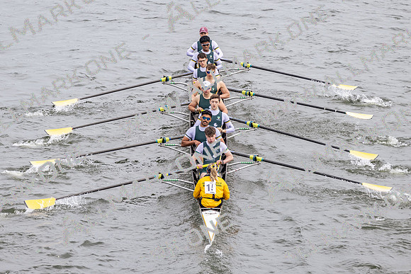 HORR4447