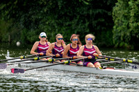 8WL_1335