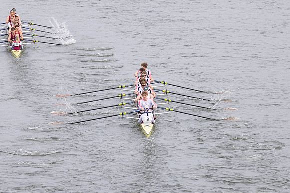 HORR0295