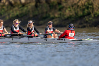 DAN07450