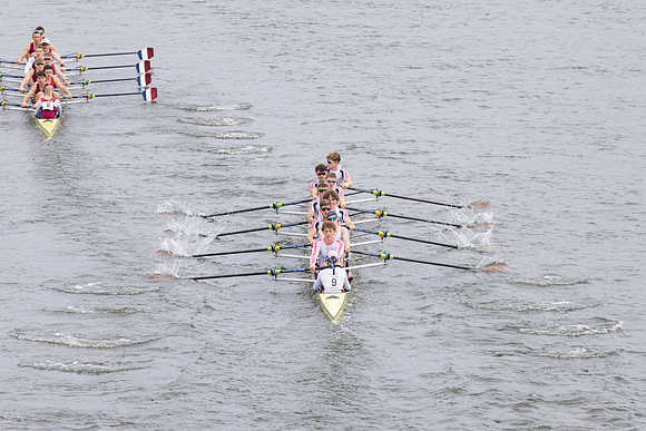 HORR0293