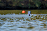 HCR09326