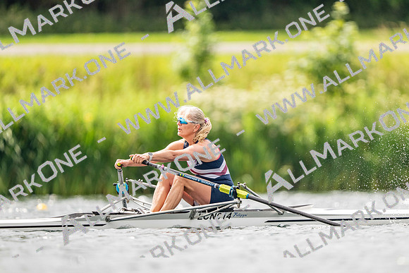 0WL_8081