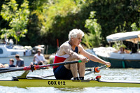OXC02528