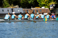51. Falcon v Wolfson