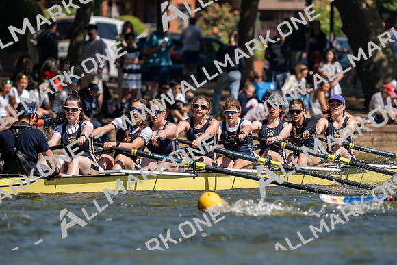 BR503717
