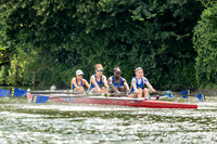 8WL_1429