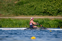 NCM09173