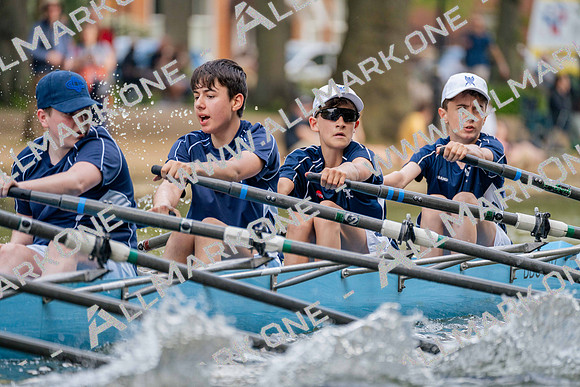 BD204544