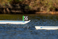 HCR03738