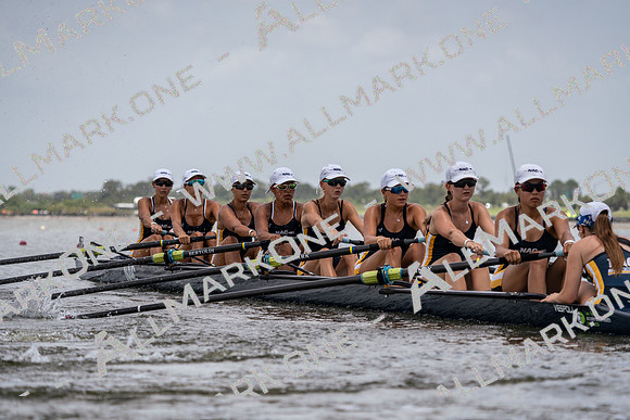 YNZ02013