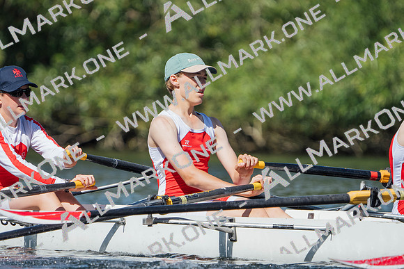 CRT02542