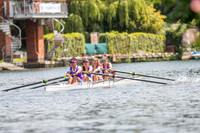 IMG_0773