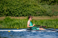 NCM09337